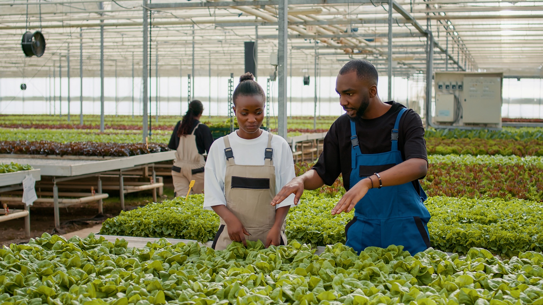 Horticulture Kazachstan KazAgroFarm - 2026
