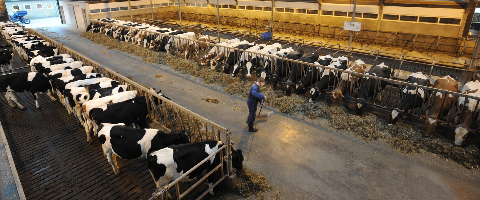 Dairy farming and entrepreneurship